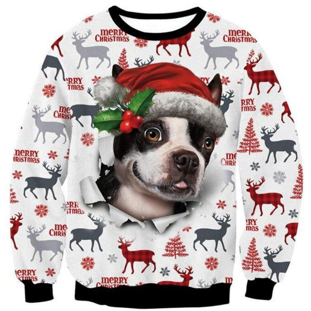 maglione natalizio cagnolino